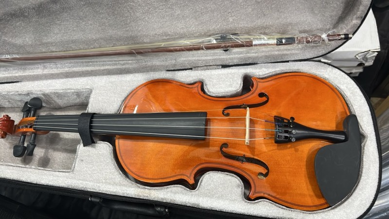 Anisha Violin